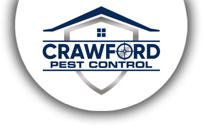 Pest Control Services in Jacksonville
