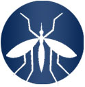 MOSQUITOES